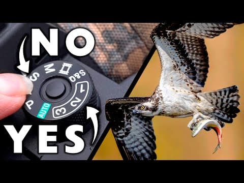Advanced Wildlife & Bird Photography: SHARPEST PHOTOS!! thumbnail