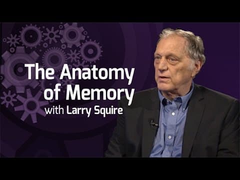 The Anatomy of Memory - On Our Mind thumbnail