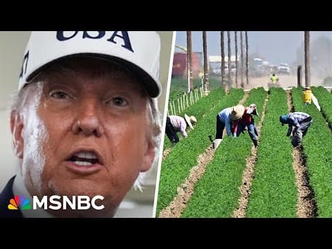 Soybean farmer slams Trump's Argentina bail out: 'How is this a good deal for me?' thumbnail