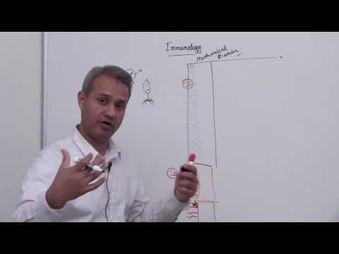 Innate and Acquired Immunology (Lecture 1 Part 1) thumbnail