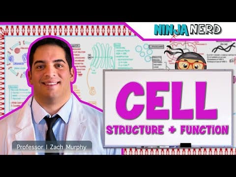 How Do Cell Structures Support Cell Function? thumbnail