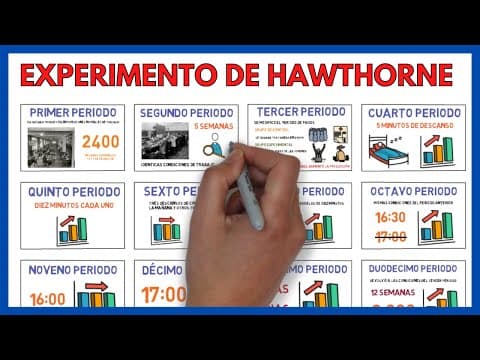 ESCUELA de las RELACIONES HUMANAS de ELTON MAYO y su EXPERIMENTO de HAWTHORNE ✅ | Economía 143# thumbnail