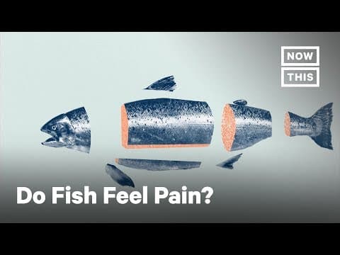 What Fish Feel When They Are Killed for Food | NowThis thumbnail