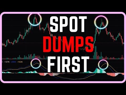Make DAILY PROFITS Trading Meme Coins With This Simple Strategy! thumbnail
