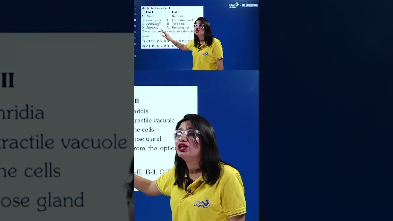 YouTube video player
