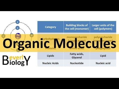 Organic Molecules / Organic Chemistry (updated) thumbnail