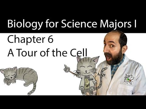 Chapter 6 - A Tour of the Cell thumbnail