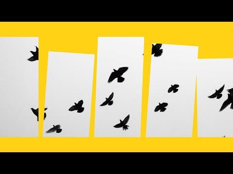 What Would a Fairer Society Look Like? | LSE Festival thumbnail
