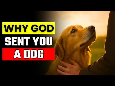 Why GOD Put a DOG in Your Life — The Truth Will Touch Your Soul thumbnail