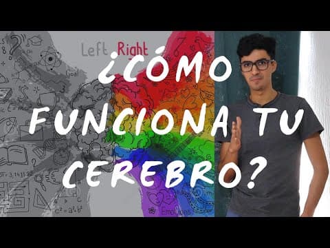 La vida secreta de la mente Reseña: ¿vale la pena? thumbnail