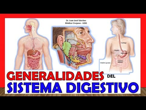 🥇 SISTEMA DIGESTIVO en 16 Minutos!!. ¡Fácil y Sencillo! thumbnail