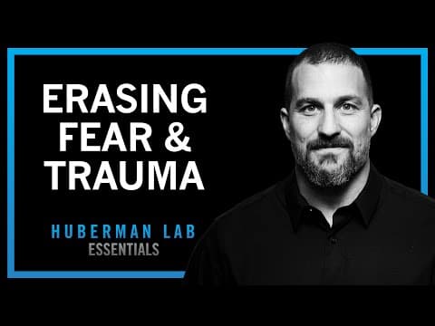 Erasing Fears & Traumas Using Modern Neuroscience | Huberman Lab Essentials thumbnail
