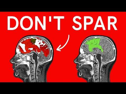 I'm begging you to stop sparring thumbnail