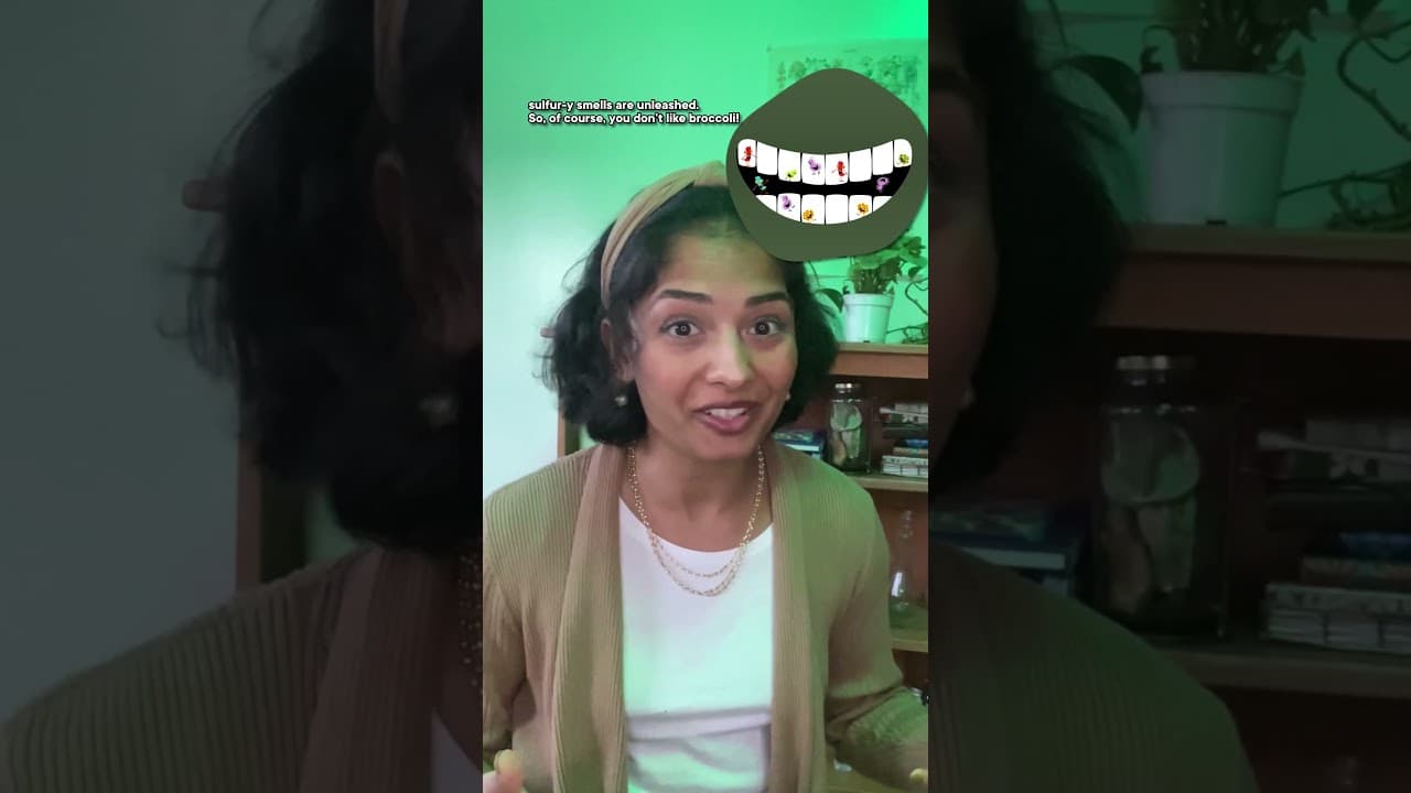 YouTube video player