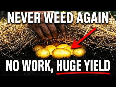 The "No-Dig" Secret That Triples Your Harvest — Why Did We Forget It? thumbnail