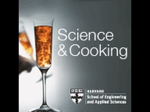 Food Texture and Mouth Feel | Lecture 5 (2011) thumbnail