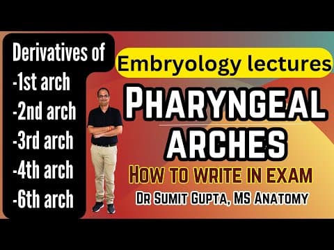Pharyngeal arches derivatives | Embryology thumbnail