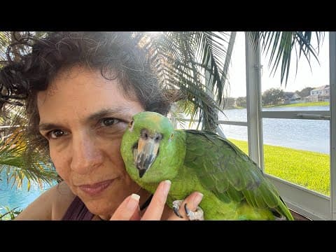 Do Amazon Parrots Make The Best Pets? Even Tho They Are Loud? #parrot_bliss #amazon_parrot #parrot thumbnail