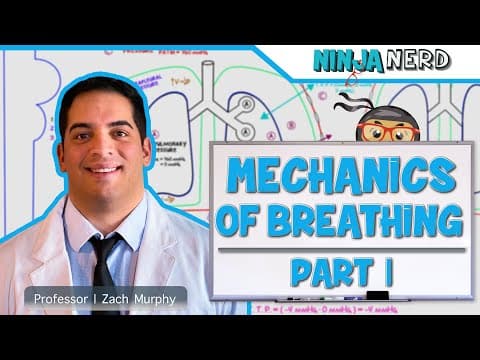 How Do Pressure Changes Control Breathing? thumbnail