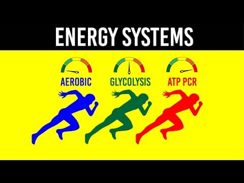 ENERGY SYSTEMS - Strength & Conditioning Essentials thumbnail