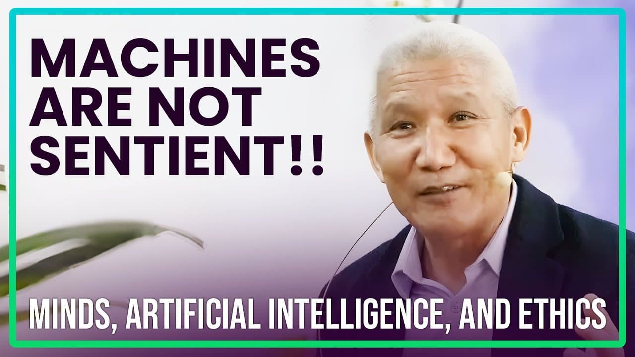 YouTube video player