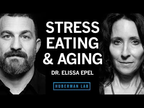 Dr. Elissa Epel: Control Stress for Healthy Eating, Metabolism & Aging | Huberman Lab Podcast thumbnail