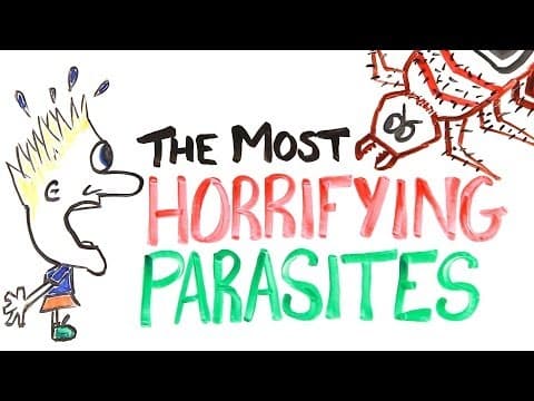 The Most Horrifying Parasites! thumbnail