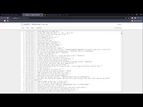 DS.NP.1 Hate Speech Detection thumbnail