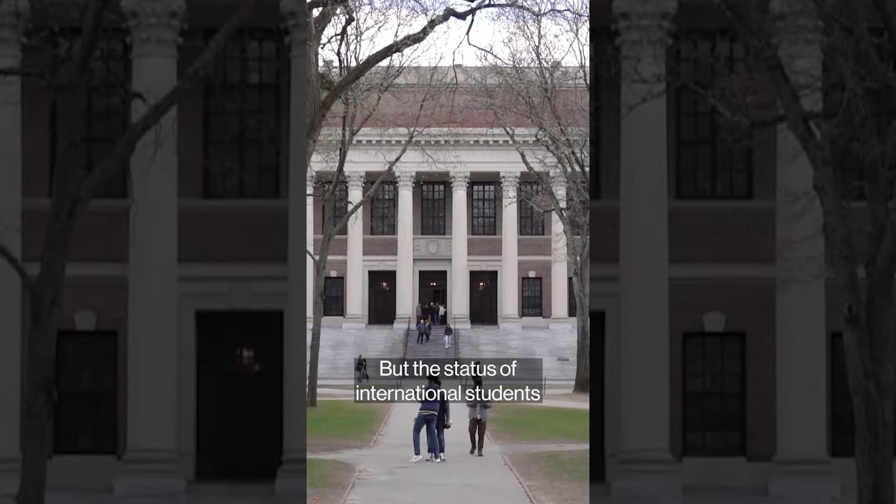 YouTube video player