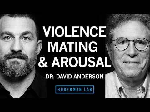 Dr. David Anderson: The Biology of Aggression, Mating, & Arousal | Huberman Lab Podcast #89 thumbnail