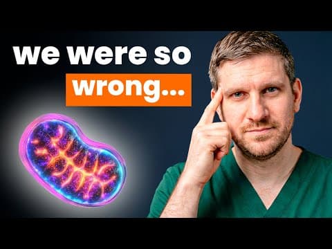 7 Foods to Make New Mitochondria (Scientific Proof) thumbnail