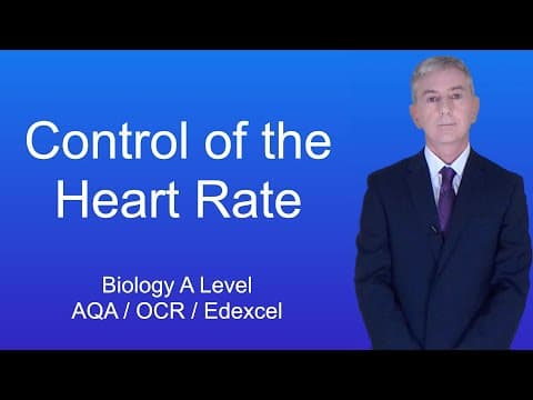 A Level Biology Revision (Year 13) "Control of the Heart Rate" thumbnail