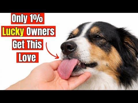 21 Rare Behaviors Dogs Show ONLY When They Love You Deeply thumbnail