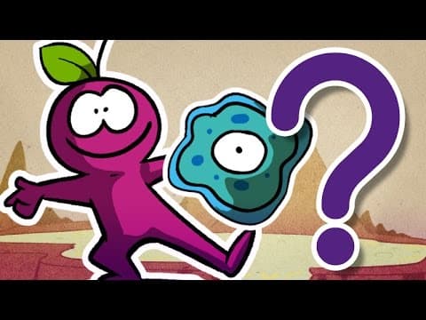 ¿Cuál fue el primer ser vivo? thumbnail