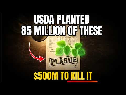 Grows 1 Foot Per Day. Edible. Medicinal. They Spent 80 Years Trying to Erase It thumbnail