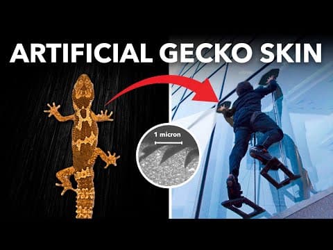 What Is the Non-Sticky Gecko-Inspired Adhesive? thumbnail
