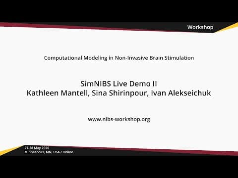 How Do You Analyze SimNIBS Mesh Files in MATLAB? | SimNIBS Tutorial II, Computational Modeling in NIBS 2020 thumbnail