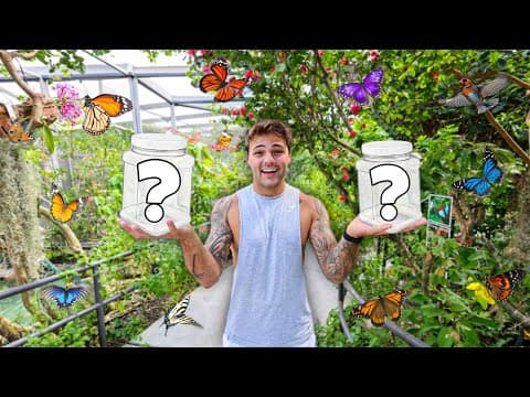 Buying & Hatching BUTTERFLIES for My BACKYARD!! thumbnail