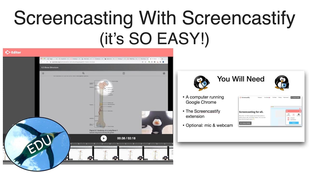 YouTube video player
