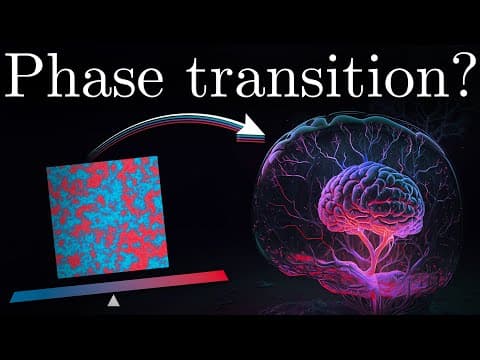 How Does the Brain Use Criticality for Information? thumbnail