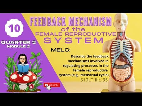 Grade 10 SCIENCE | Quarter 3 Module 2 | Feedback Mechanism of the Female Reproductive System thumbnail