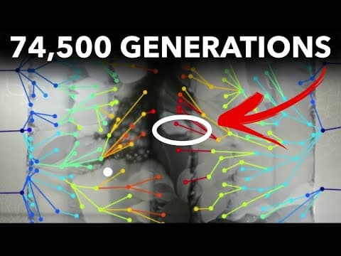 How Does a 33-Year E. coli Experiment Show Evolution? thumbnail