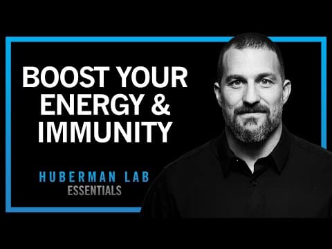 Boost Your Energy & Immune System with Cortisol & Adrenaline | Huberman Lab Essentials thumbnail