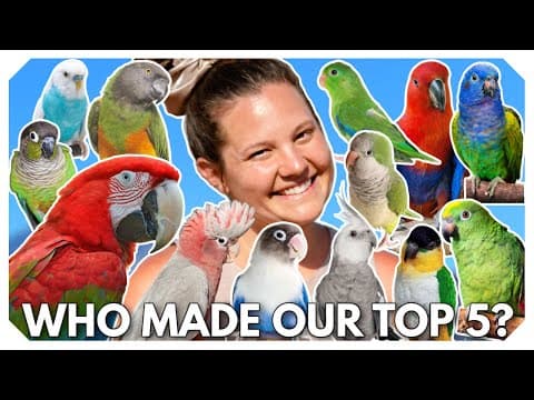 Top 5 Starter Birds | Top 5 BEST First Birds For Families thumbnail