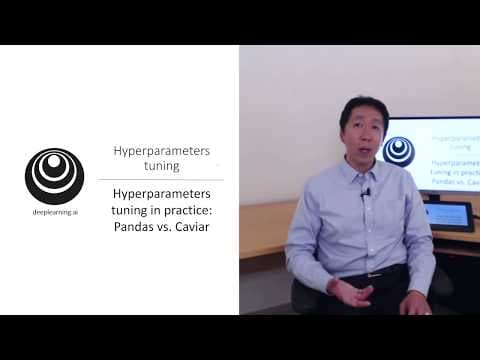 How to Effectively Tune Hyperparameters for Deep Learning thumbnail