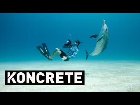 What Are the Secrets of Underwater Cinematography? thumbnail