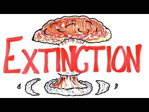 What Were the Most Significant Extinction Events? thumbnail
