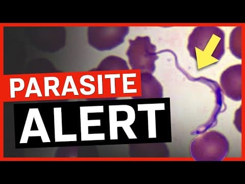 300,000+ Americans Infected With this Dangerous Parasite thumbnail