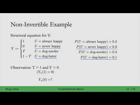14.2 - Computing Counterfactuals thumbnail