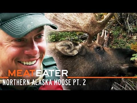Yukon Giants: Northern Alaska Moose Pt. 2 | S5E02 | MeatEater thumbnail
